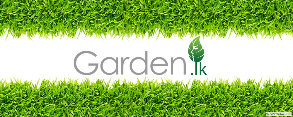 Welcome to garden.lk